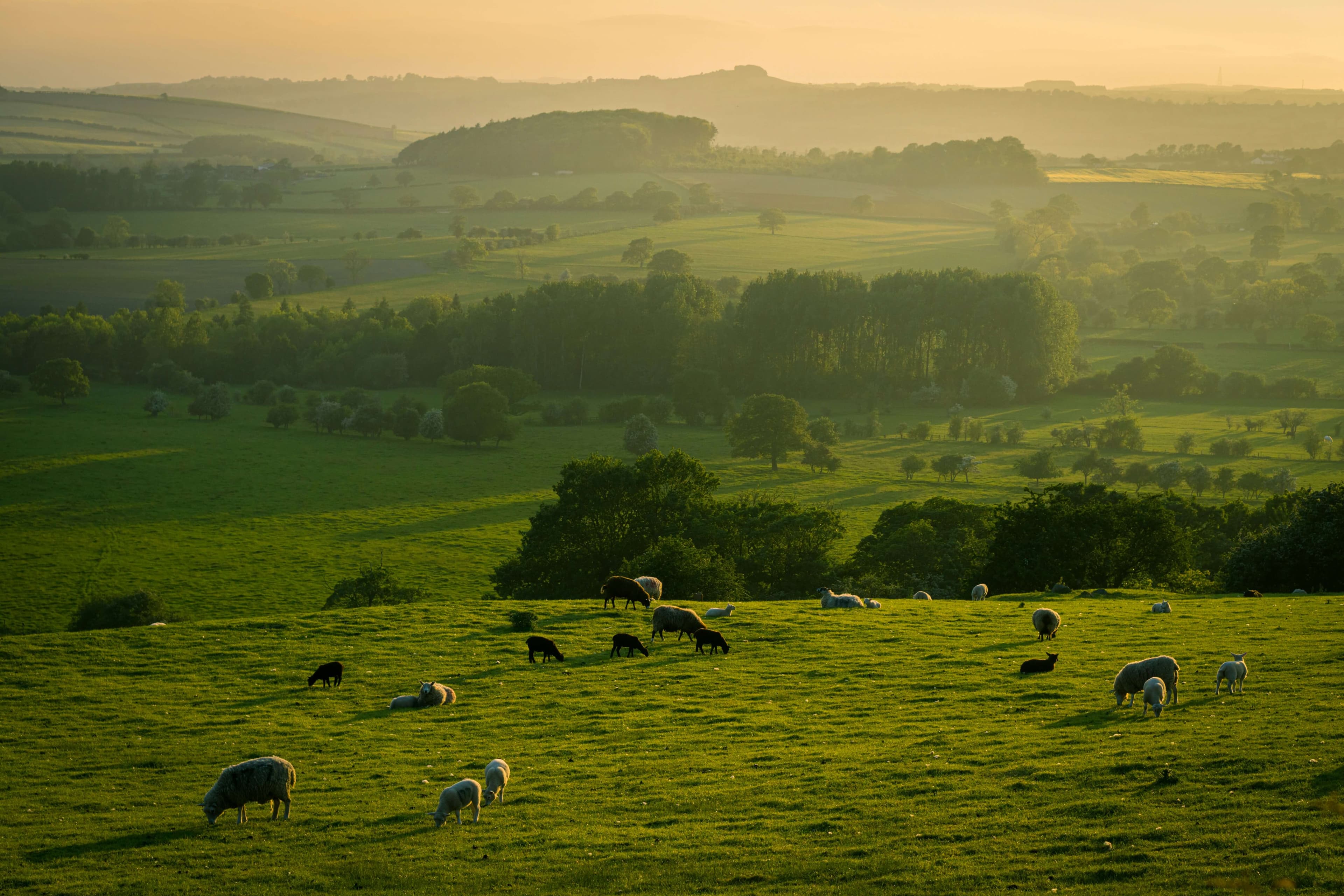 Photo of countryside, Yorkshire, by Illiya Vjestica on Unsplash